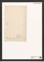 Diatomeae indet. (de-Toni-Nr.: Species 2682 ?) Zeichnungen Sammlung Grunow (NHMW-BOT-W0373934)